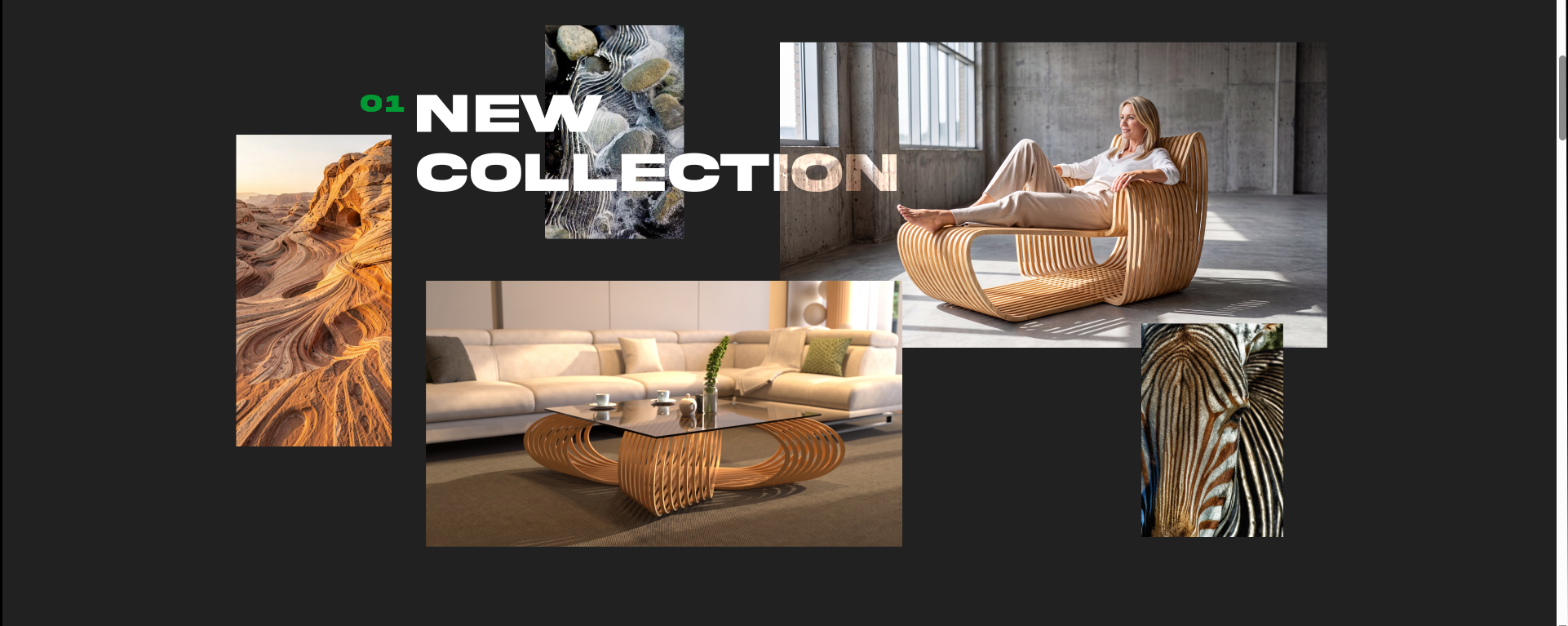 New Collection