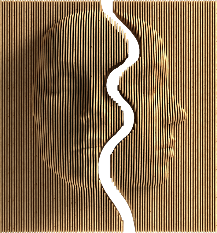CONFUSIO