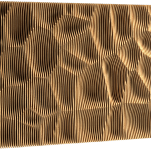 MUSIVUM