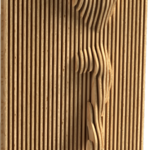 NIMPHA