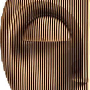 PERSONA