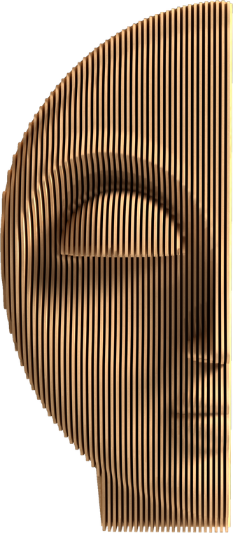 PERSONA