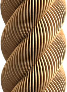 PLEXUS