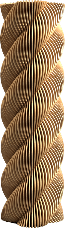 PLEXUS