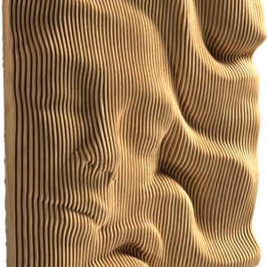 VENUS