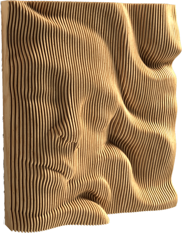 VENUS